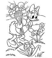 coloriage daisy cueillant des fleurs